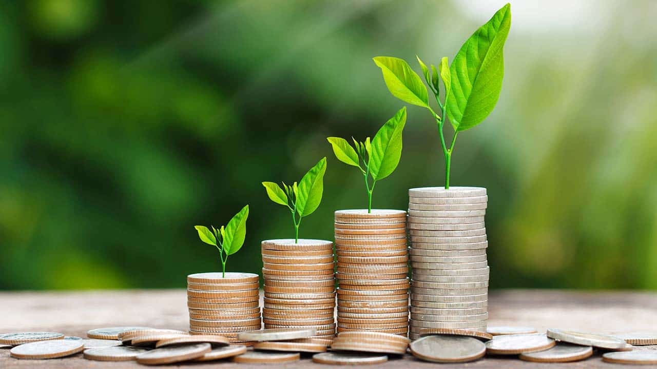 donor advised funds