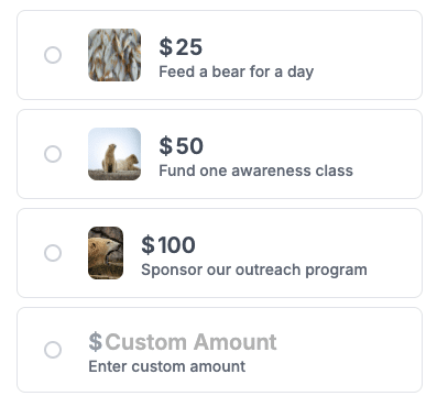 Example of a donation form with written impact details